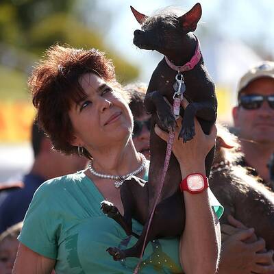 Diese Vierbeiner sind echte Originale