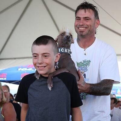 Diese Vierbeiner sind echte Originale