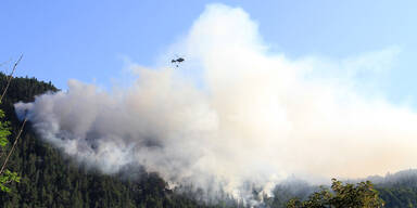 12 verletzte Helfer bei Waldbrand am Thumsee