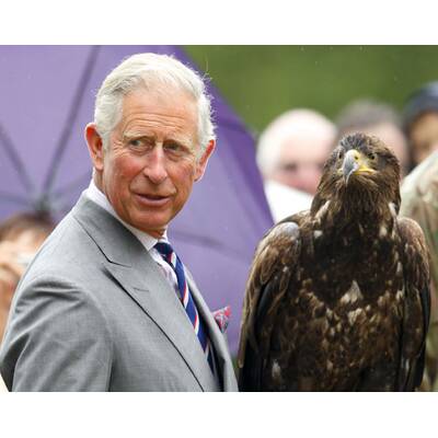 Prinz Charles ist todesmutig