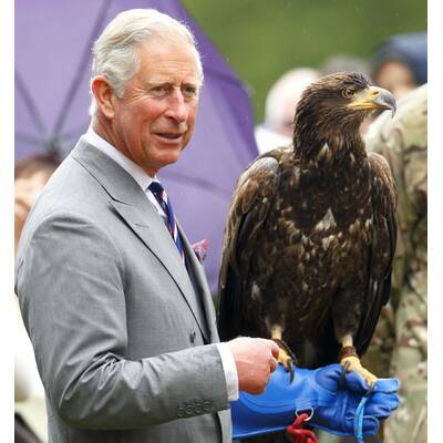 Prinz Charles ist todesmutig