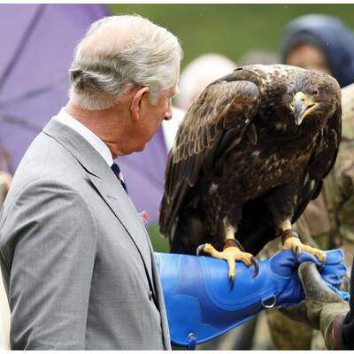Prinz Charles ist todesmutig