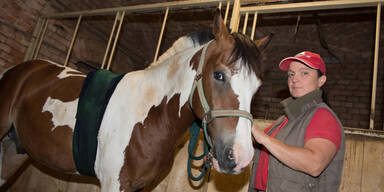 Irrer schießt mit Armbrust auf Pferde