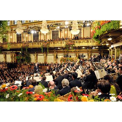 Neujahrskonzert 2014 - Probenbilder