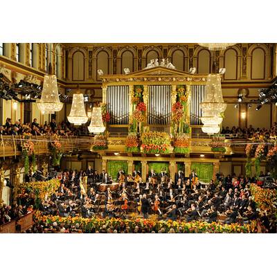 Neujahrskonzert 2014 - Probenbilder