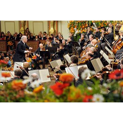 Neujahrskonzert 2014 - Probenbilder