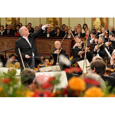 Neujahrskonzert 2014 - Probenbilder