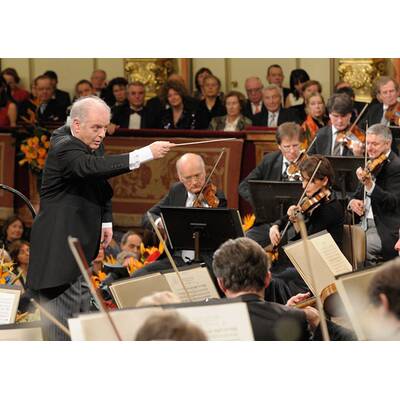 Neujahrskonzert 2014 - Probenbilder