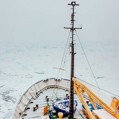 74 Menschen auf MV Akademik Shokalskiy warten auf Hilfe.
