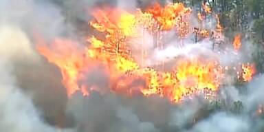 Waldbrand in New Jersey