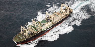 Aktivisten verjagen Walf&auml;nger in Antarktis