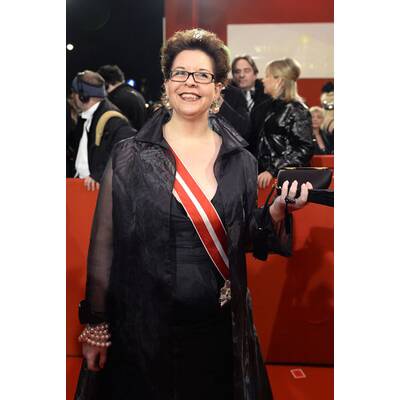 Die Gäste treffen am Opernball 2014 ein