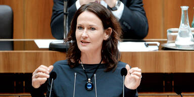 Opposition: Protest gegen das Budget