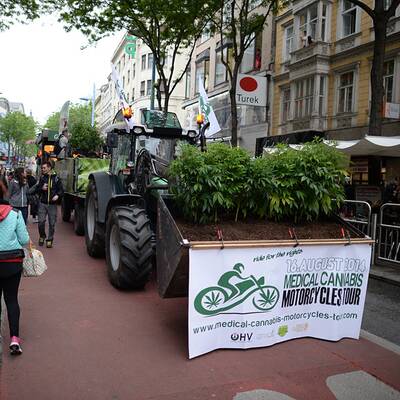 Tausende forderten Legalisierung von Marihuana