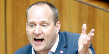 Opposition: Protest gegen das Budget