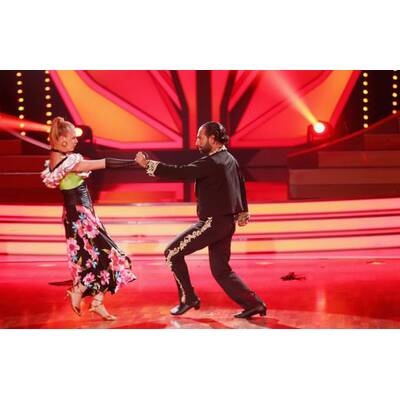 Let's Dance 2014: Die Final-Show
