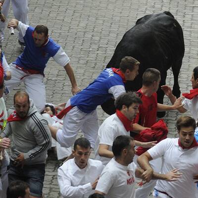 US-Journalist schrieb Ratgeber zu Stierhatz