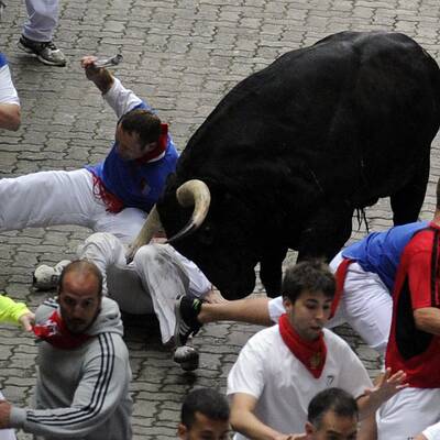 US-Journalist schrieb Ratgeber zu Stierhatz