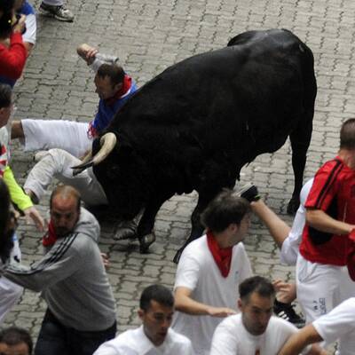 US-Journalist schrieb Ratgeber zu Stierhatz