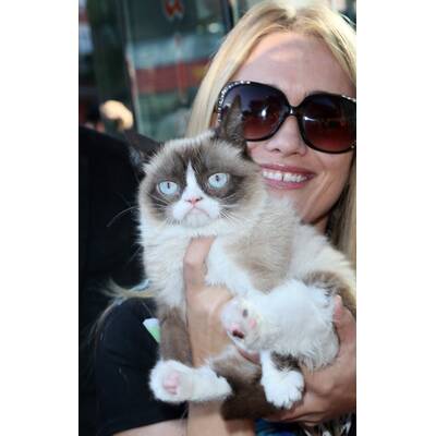 Grumpy Cat präsentiert sein neues Buch