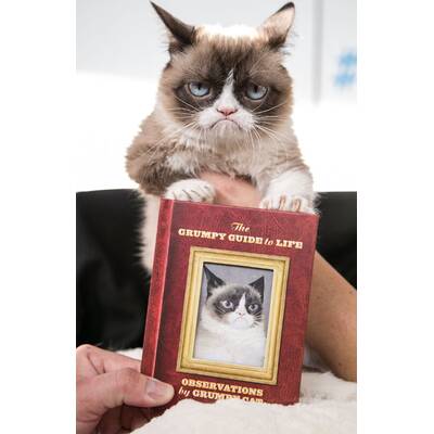 Grumpy Cat präsentiert sein neues Buch