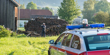 22-Jähriger prallt in Holzstoß - tot