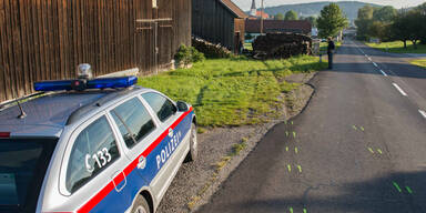 22-Jähriger prallt in Holzstoß - tot