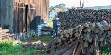 22-Jähriger prallt in Holzstoß - tot