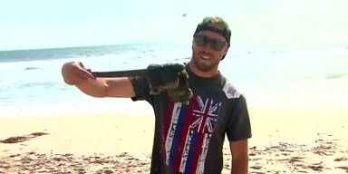 Öl verschmutzt kalifornische Strände