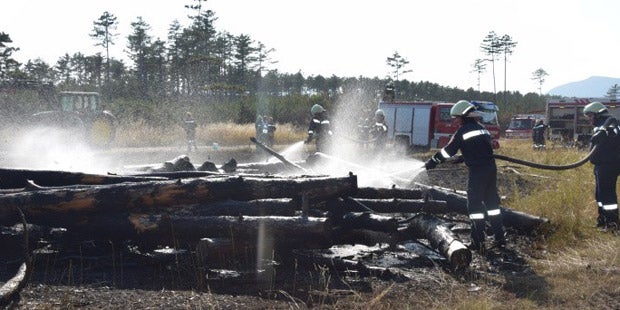 Rekord-Hitze grillt das Land