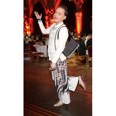 Die Stars am Wiener Filmball 2015