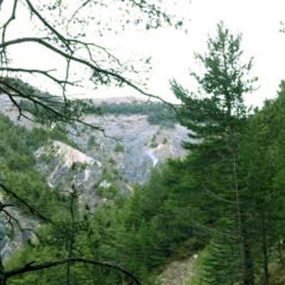 Die ersten Bilder von der Absturzstelle