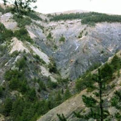 Die ersten Bilder von der Absturzstelle