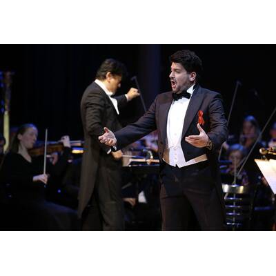 Stars beim Red Ribbon Konzert 2015