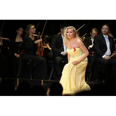 Stars beim Red Ribbon Konzert 2015