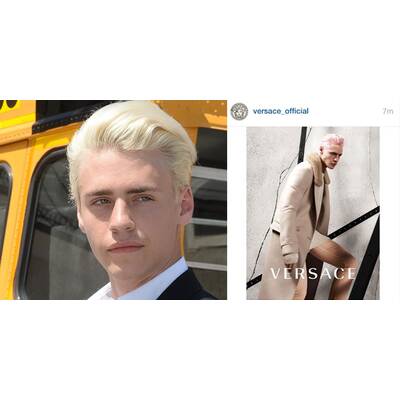 Das Jahr der Austro-Promis 2015