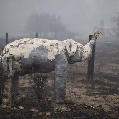 Mehr als 700 Häuser in Kalifornien abgebrannt 
