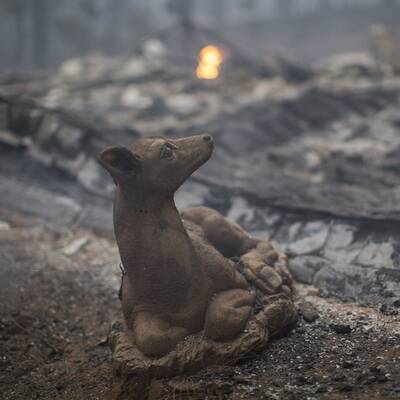 Mehr als 700 Häuser in Kalifornien abgebrannt 