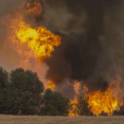 Mehr als 700 Häuser in Kalifornien abgebrannt 