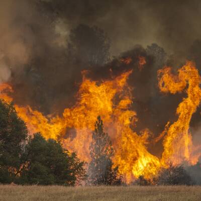 Mehr als 700 Häuser in Kalifornien abgebrannt 