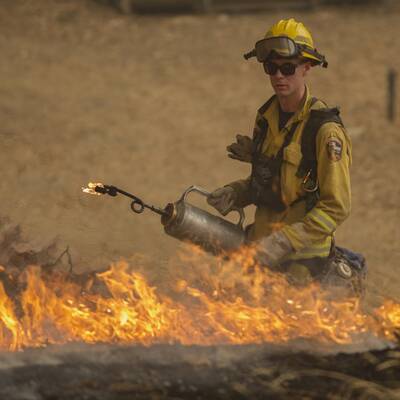 Mehr als 700 Häuser in Kalifornien abgebrannt 