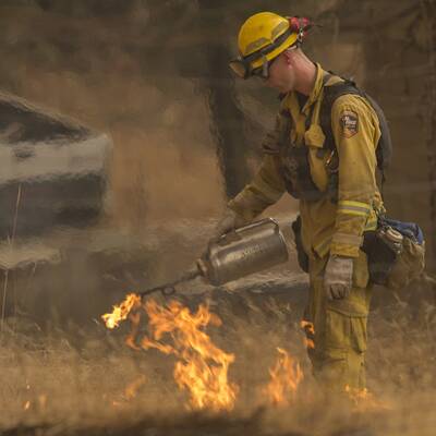 Mehr als 700 Häuser in Kalifornien abgebrannt 