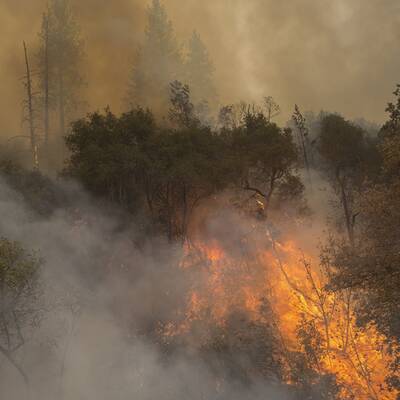 Mehr als 700 Häuser in Kalifornien abgebrannt 