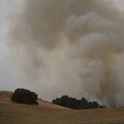 Mehr als 700 Häuser in Kalifornien abgebrannt 