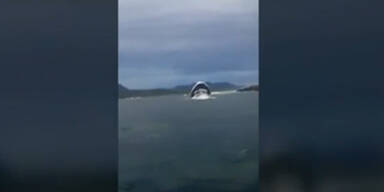 Touristen-Boot kentert im eiskalten Meer