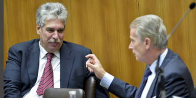 Schelling Mitterlehner