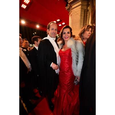 Die Stars beim Opernball 2016