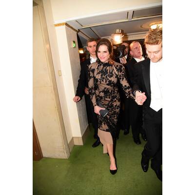 Die Stars beim Opernball 2016