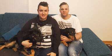 Hunde aus Wohnung "gek&uuml;ndigt"