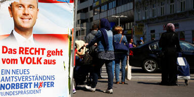 Plakat-Diebe: Hofer-Plakate gestohlen